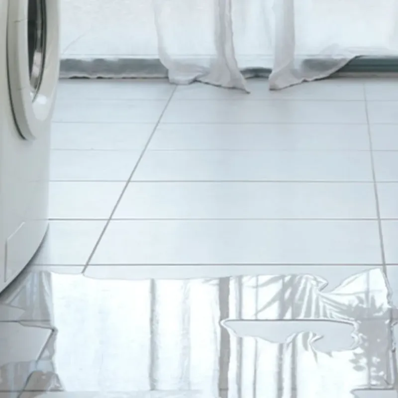 Appliance Leak Cleanup in Richmond, WI