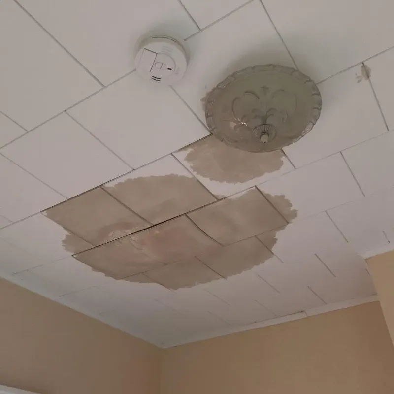 Ceiling Water Damage Repair in Richmond, WI