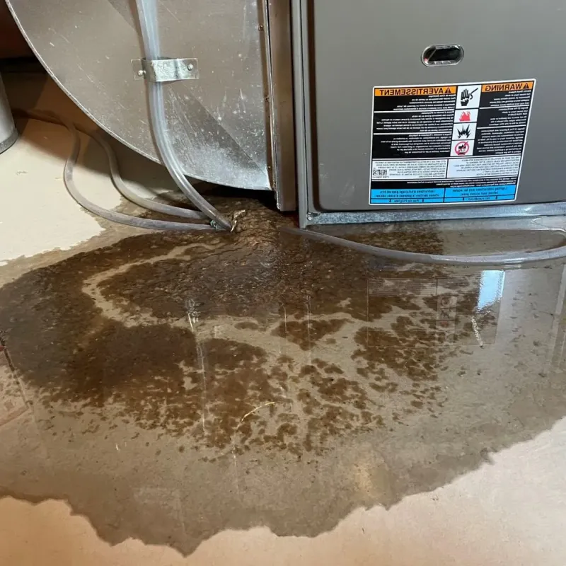 Pipe Burst and Leak Restoration in Richmond, WI