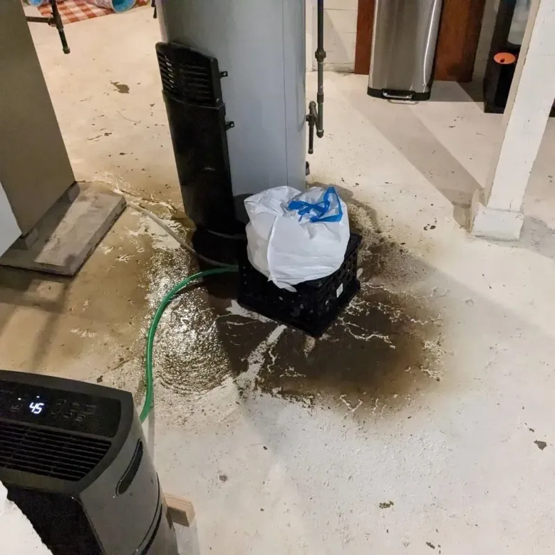 Sewage Backup Cleanup Service in Richmond, WI